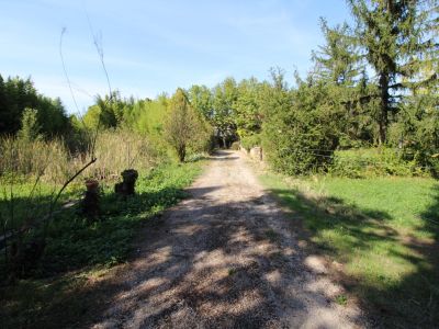 Vente MAS sur 4,5 hectares de terrain proche Saint Remy De Provence