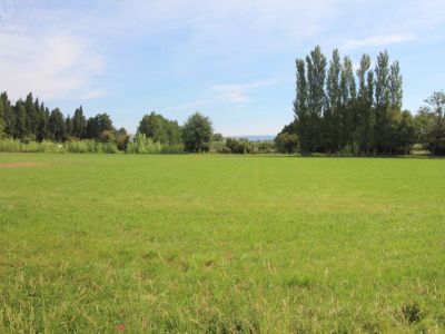 Vente MAS sur 4,5 hectares de terrain proche Saint Remy De Provence