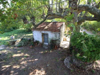 Vente MAS sur 4,5 hectares de terrain proche Saint Remy De Provence