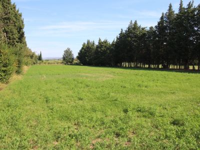 Vente MAS sur 4,5 hectares de terrain proche Saint Remy De Provence