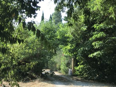 MAS de charme avec terrain à Saint Remy De Provence