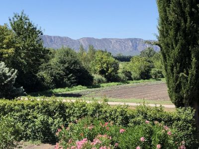 MAISON DE CAMPAGNE - charme et luminosité - Saint Remy De Provence